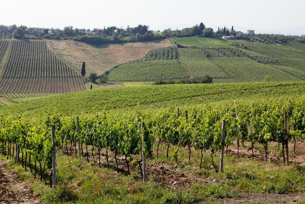 Agriturismo Borgo Vigna Vecchia Cerreto Guidi Exterior photo